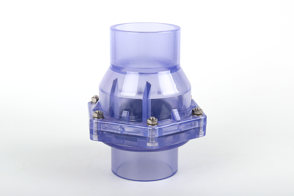 天柱透明翻板式止回阀